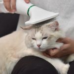 Perie cu uscator 2 in 1 M631, pentru animale, 2 trepte - ShopSee - Magazin online