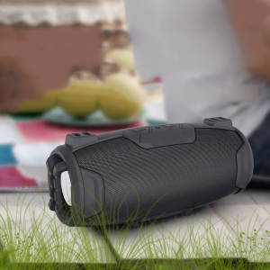 Boxa portabila Wireless cu microfon YX525, 30W P.M.P.O. - ShopSee - Magazin online