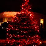 Instalatie pentru brad tip rola, 500 LED, 100m, diverse culori - ShopSee - Magazin online