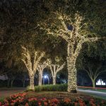 Instalatie pentru brad tip rola, 500 LED, 100m, diverse culori - ShopSee - Magazin online